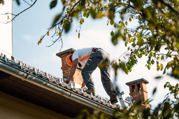 Best Commercial Roofing Services  in Smithton, IL